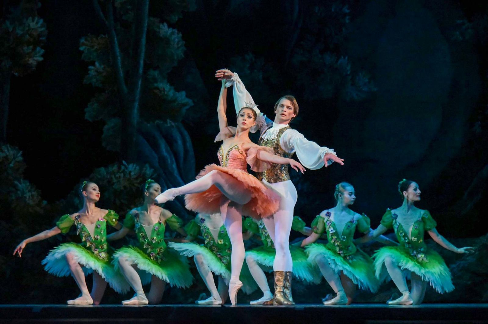 Fscj Artist Series Beyond Broadway Presents Sleeping Beauty Ballet 